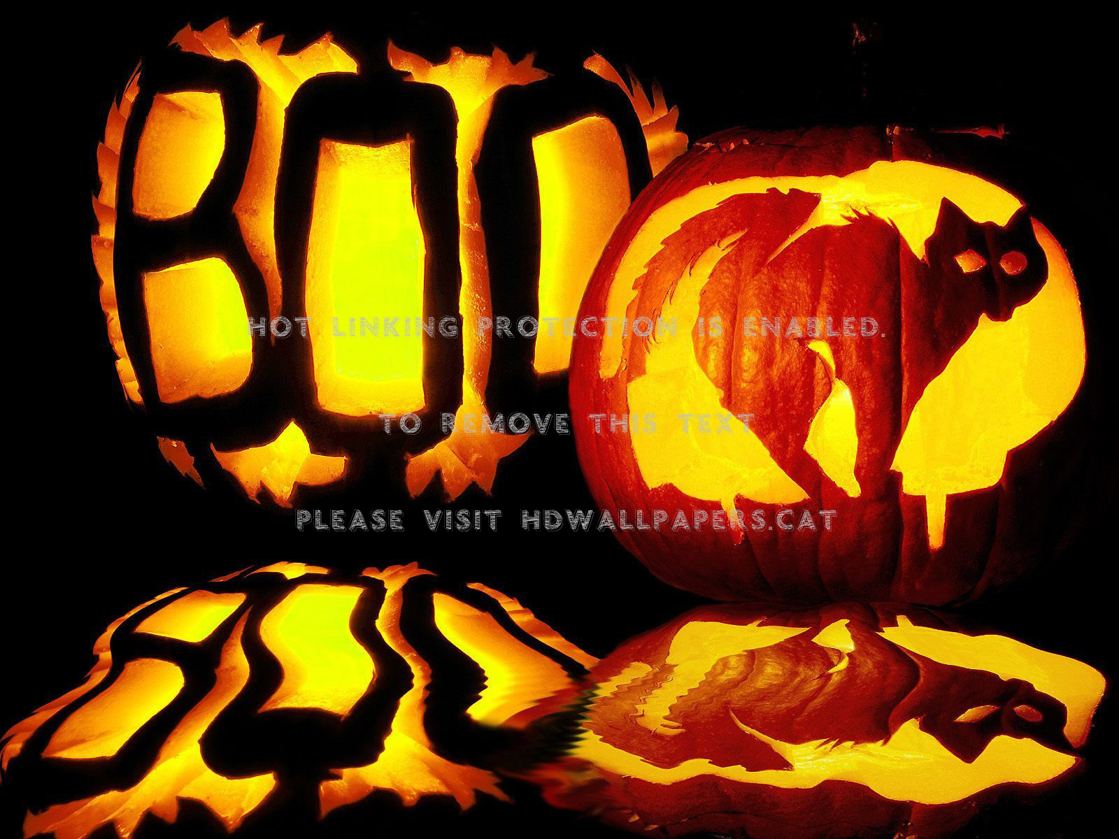 Boo Halloween Irish Samhain Dark Scarry Cat - Free Halloween Facebook Cover - HD Wallpaper 