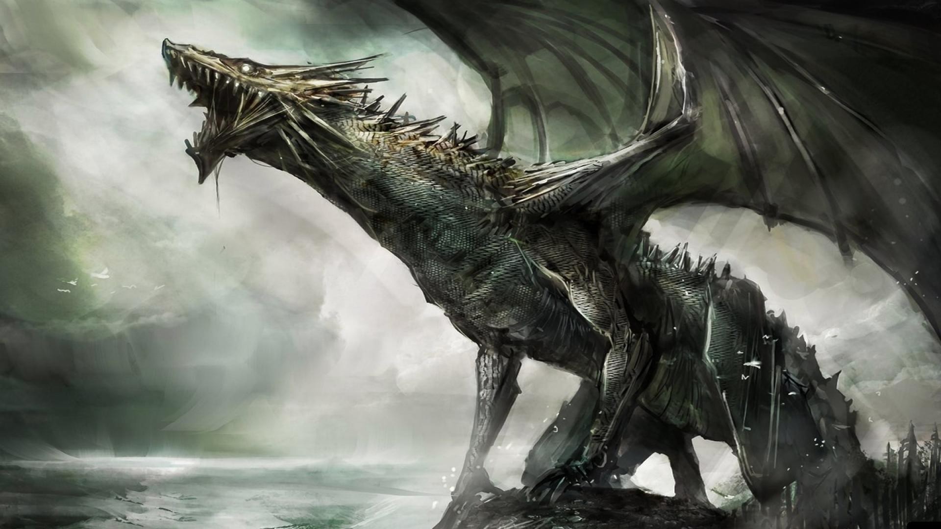 Dragon Image Wallpaper Widescreen - HD Wallpaper 