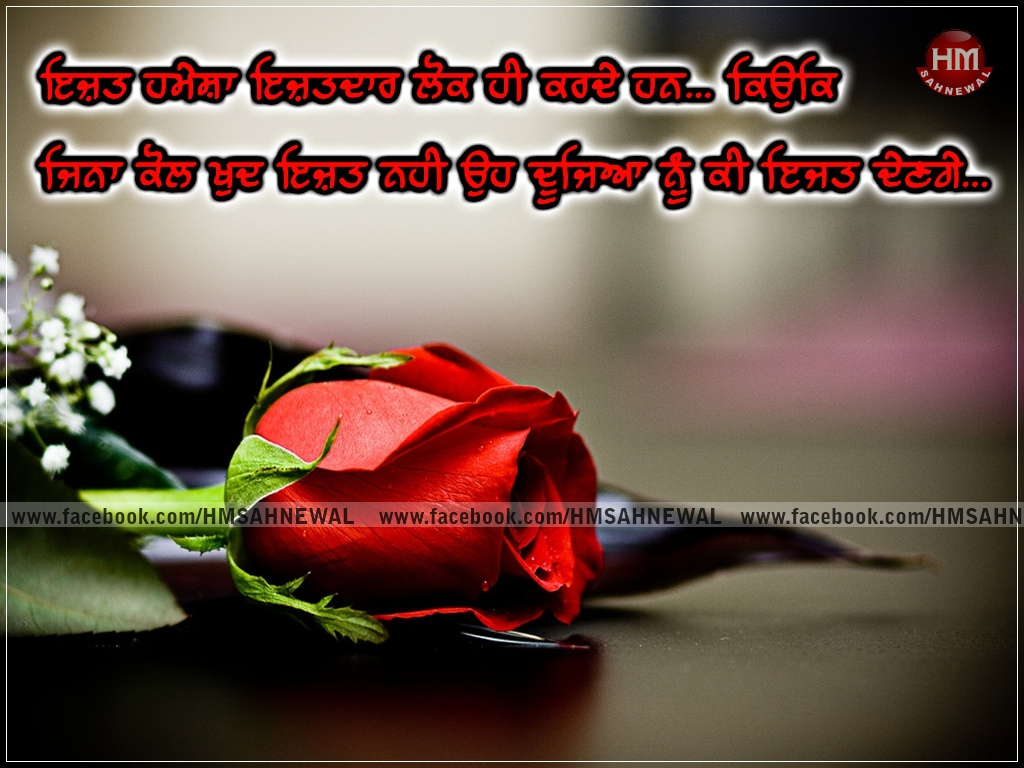 Punjabi Wallpaper Desi - Red Roses High Resolution - HD Wallpaper 