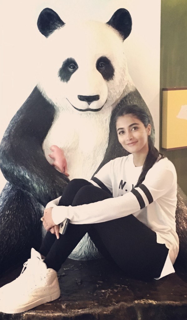 Pooja Hegde Beautiful Photos & Mobile Wallpapers Hd - HD Wallpaper 