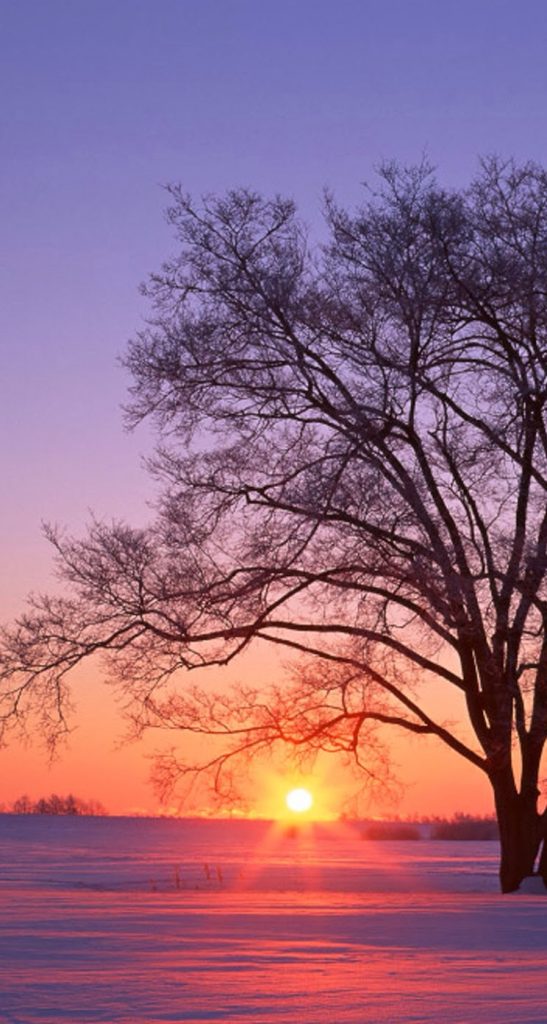 Iphone S Wallpaper Hd Landscapes Nature Photography - HD Wallpaper 