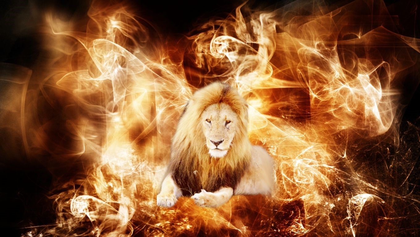 Fire Lion Wallpapers Download - HD Wallpaper 