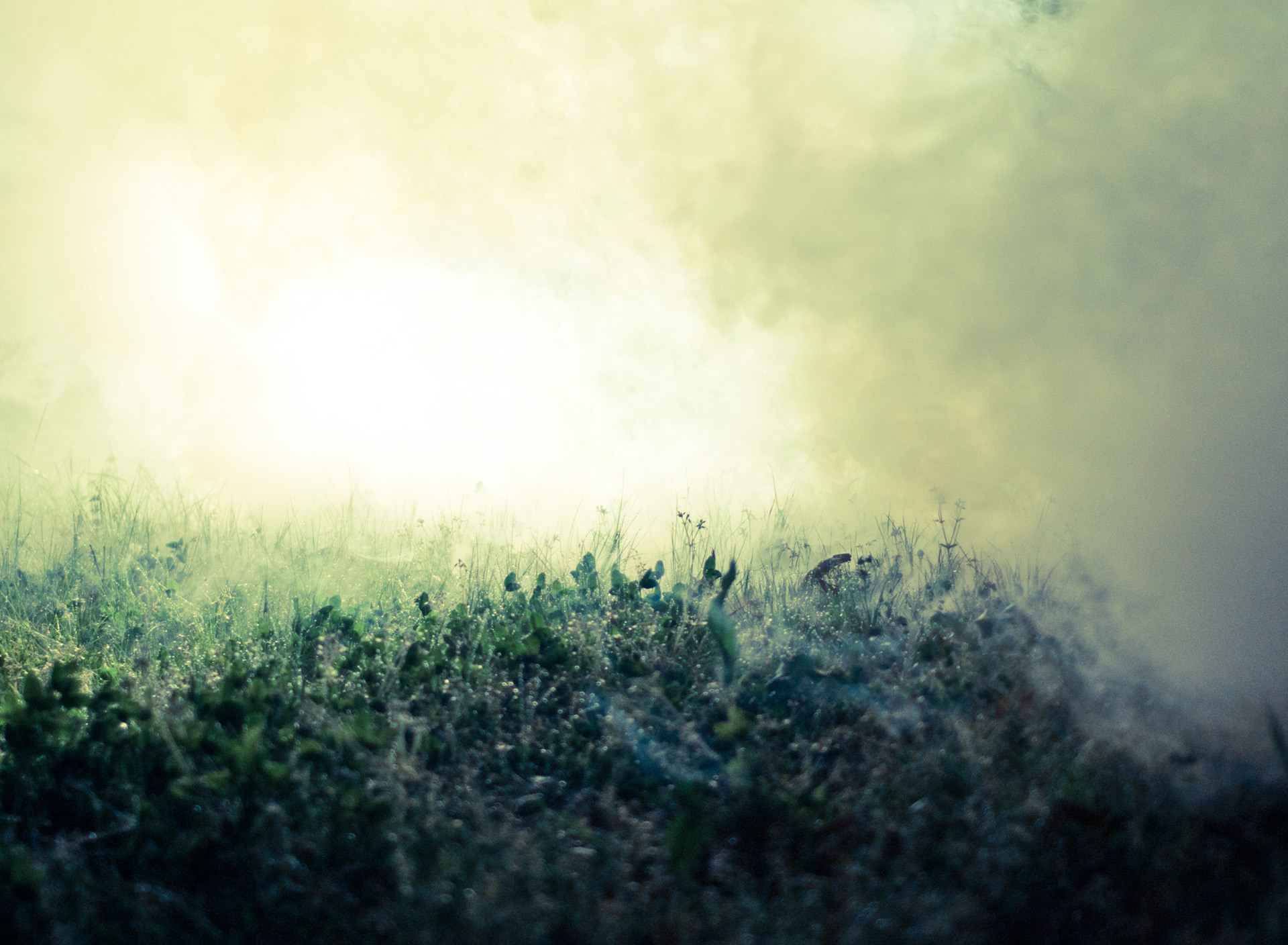 Samsung Galaxy Tab 2 - Definitivamente Lo Mejor Es Estar Solo - HD Wallpaper 