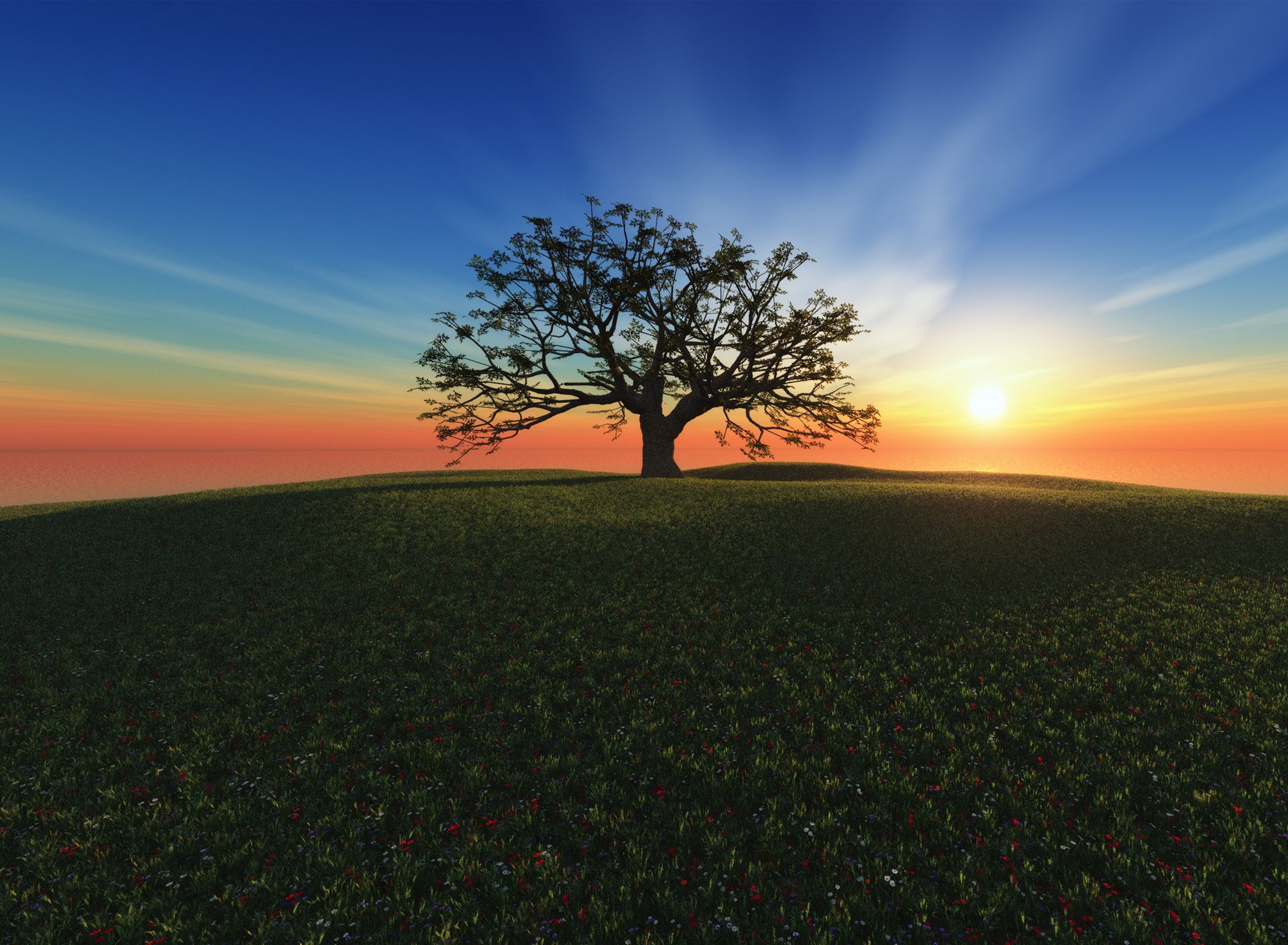 Quotes From Heart Of The Soul Zukav - HD Wallpaper 