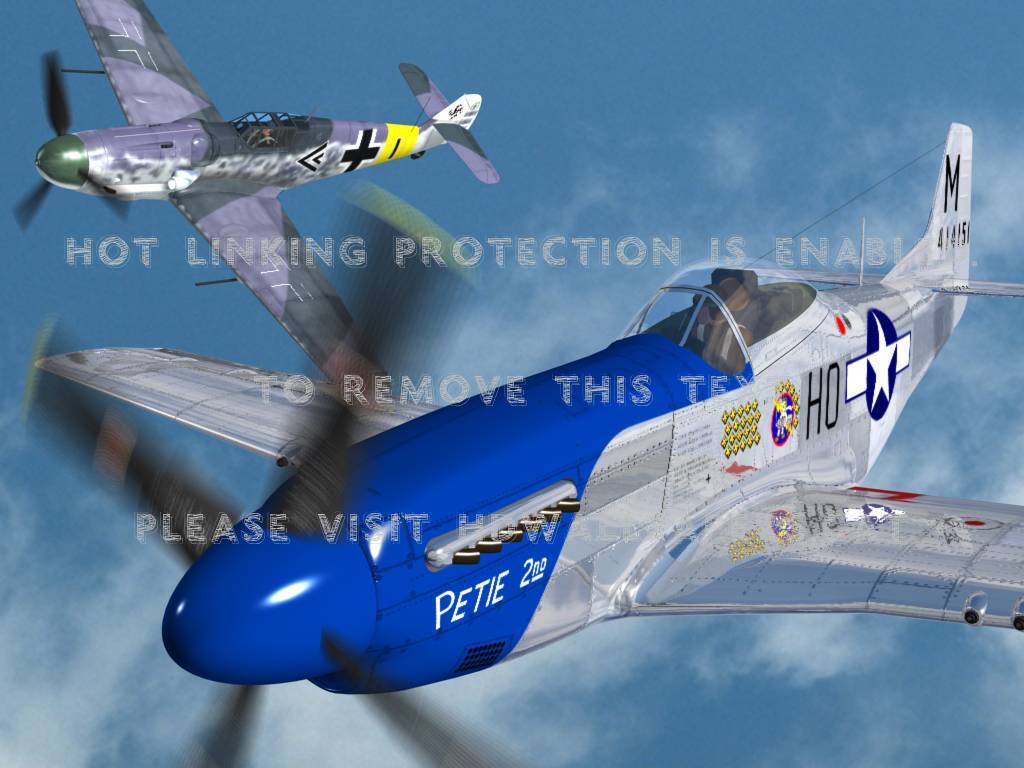 Petie 2nd Warbird Mustang P51 Aircraft - Model Aircraft - HD Wallpaper 