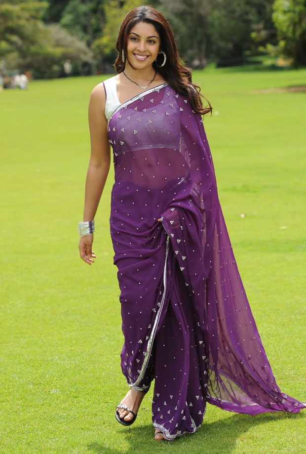 Richa Gangopadhyay Hot Navel Saree Hd - HD Wallpaper 
