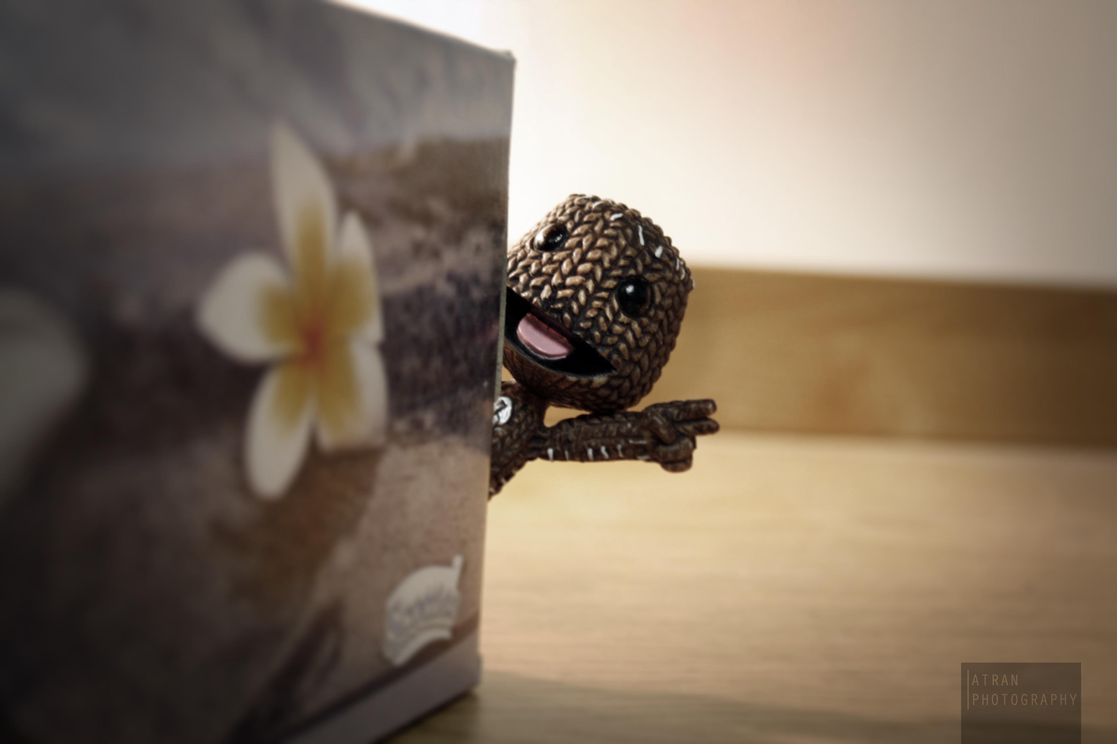 Artificial Flower - HD Wallpaper 