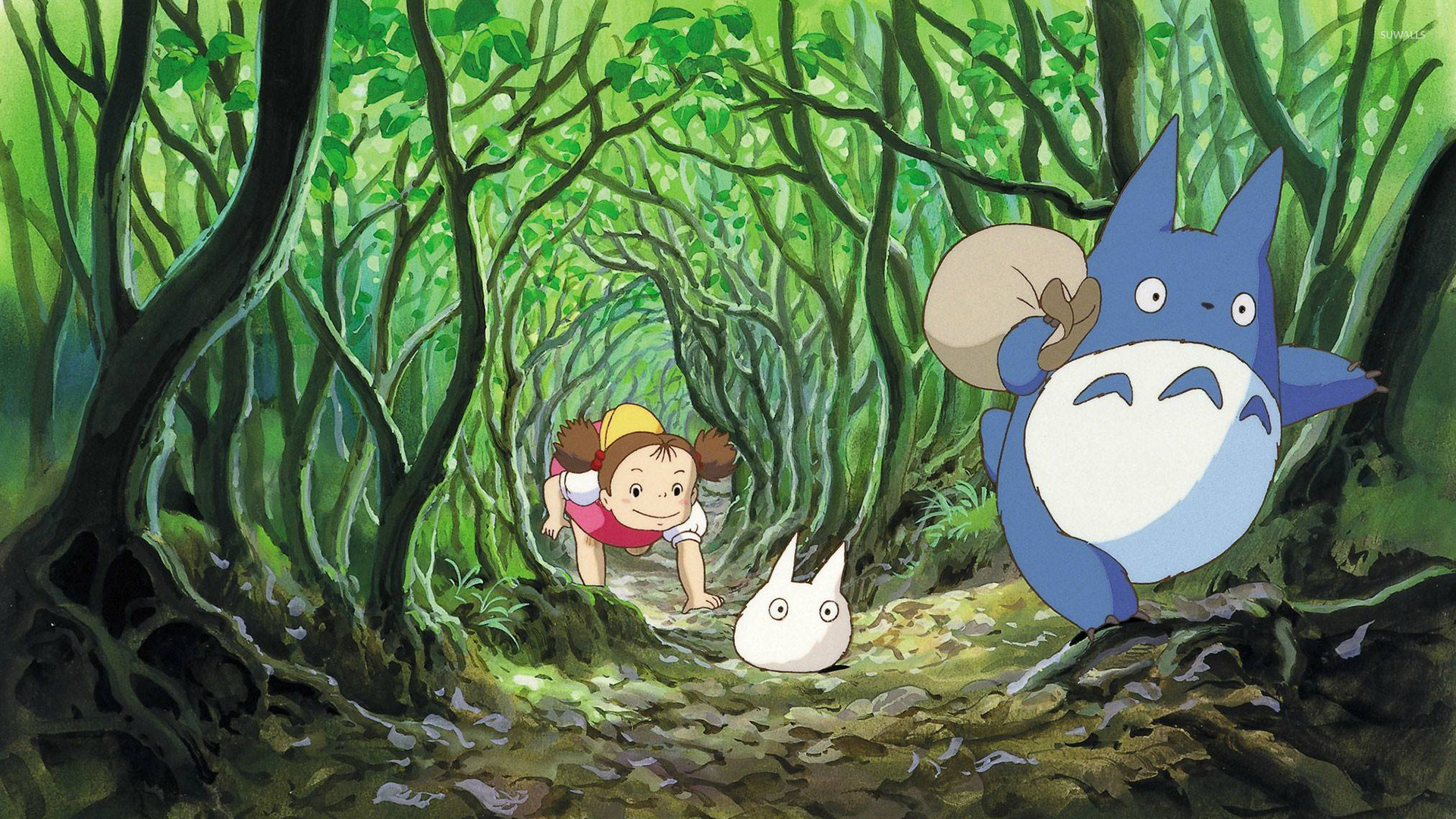 Studio Ghibli Totoro - HD Wallpaper 