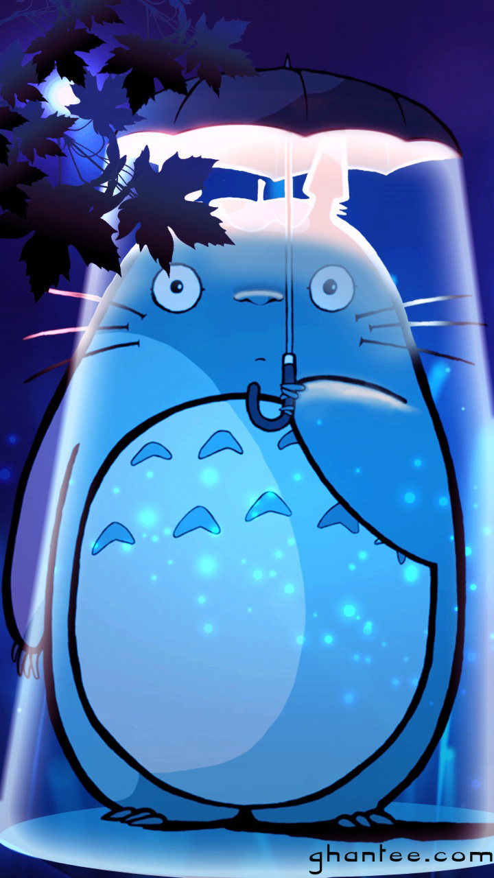 Magical Totoro Wallpaper - Cartoon - HD Wallpaper 