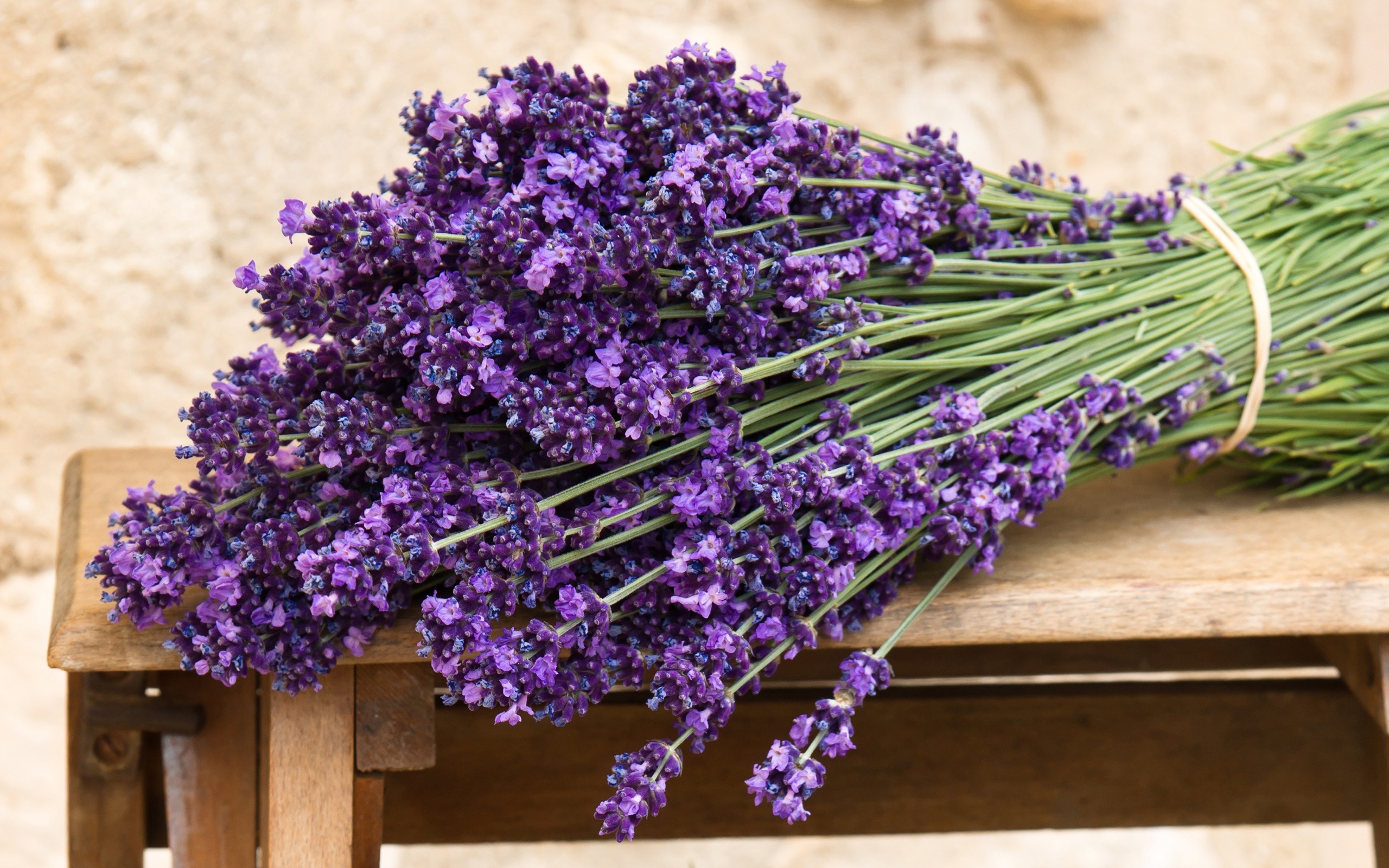 Wallpaper Bouquet Of Purple Lavender Flowers - Lavenders Bouquet - HD Wallpaper 
