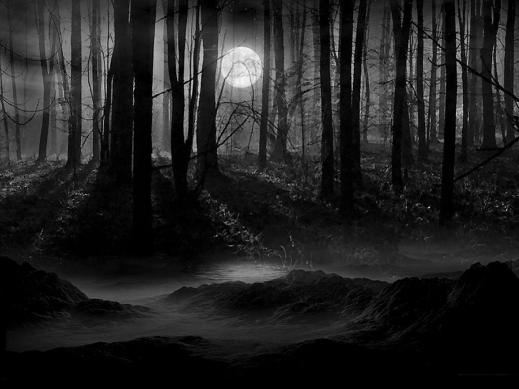 Black Forest Germany Night - HD Wallpaper 