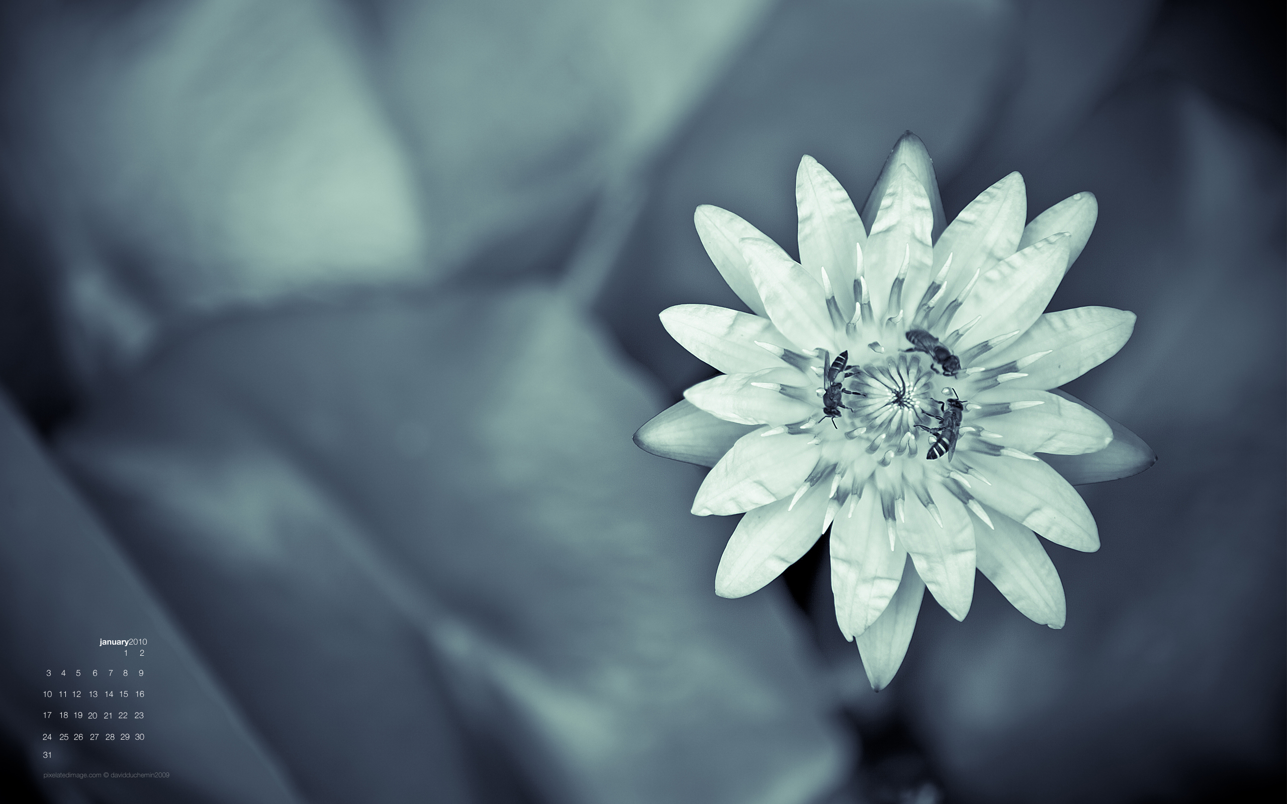 News And Entertainment - HD Wallpaper 