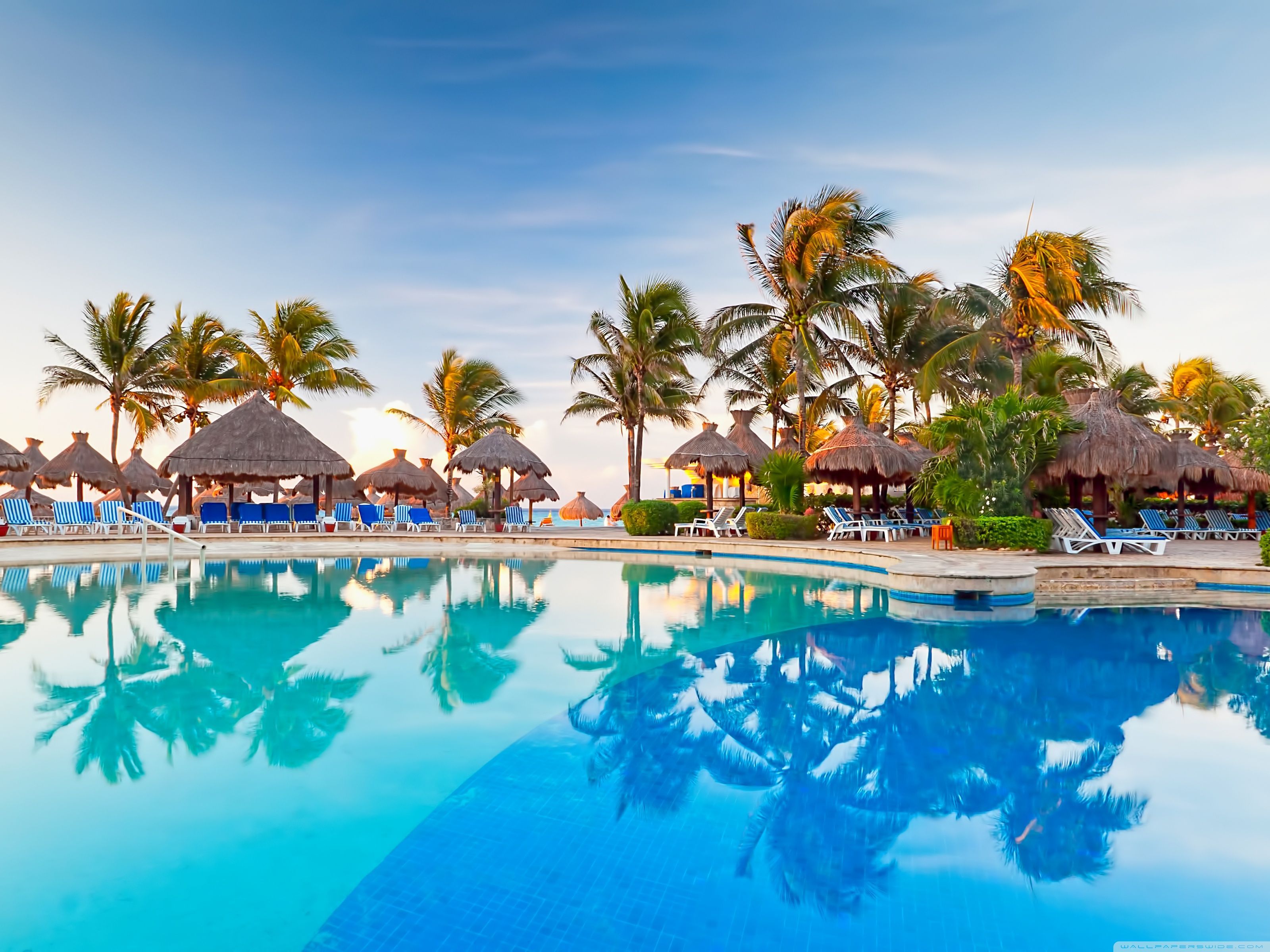 Landscape Resort Pool Coconuts Tree Reflection Picture - Palm Trees And Pool - HD Wallpaper 