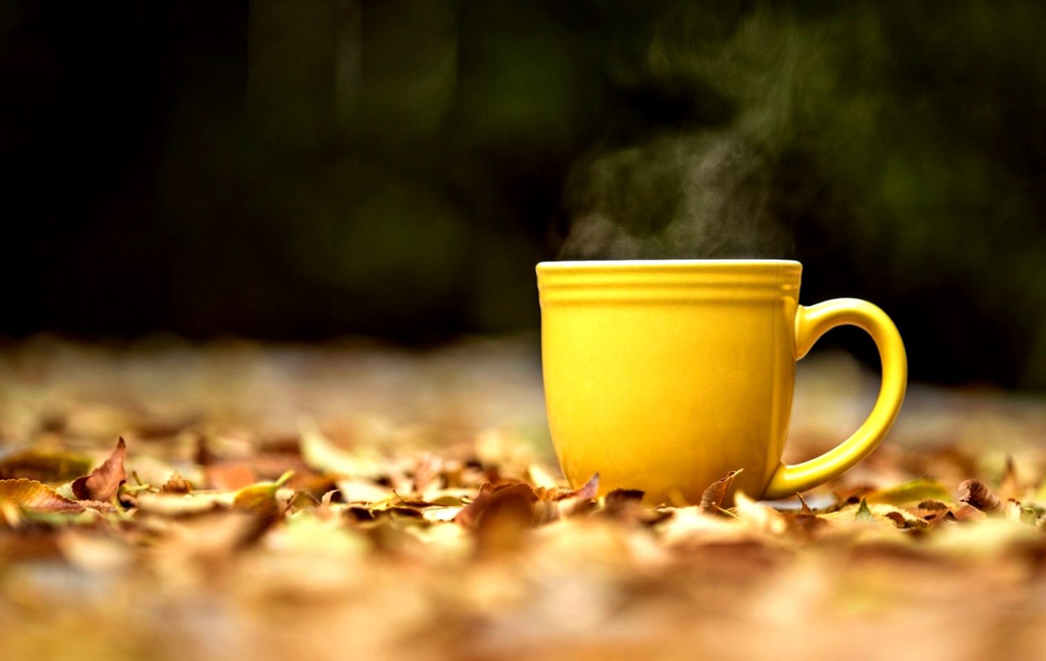 Cup Wallpaper And Background Image Id690797 - Cup Of Tea - HD Wallpaper 