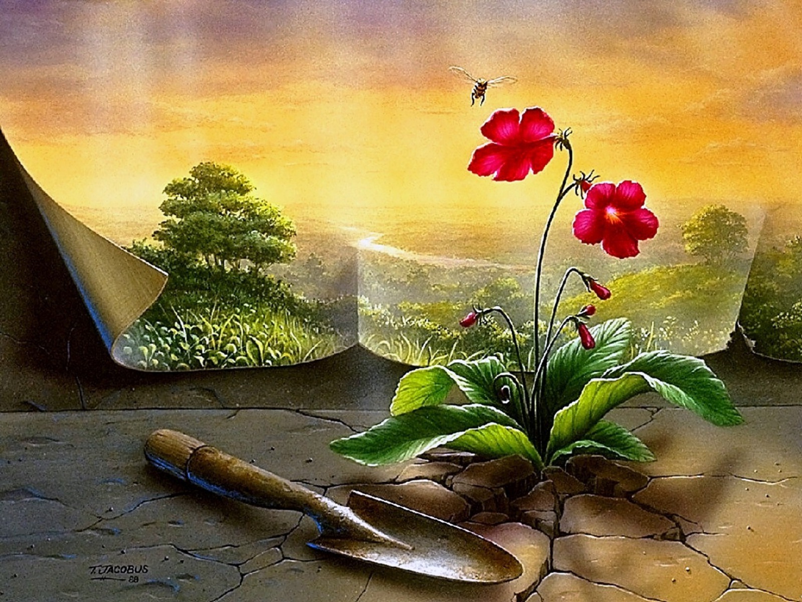 New Life Wallpaper Iphone - HD Wallpaper 