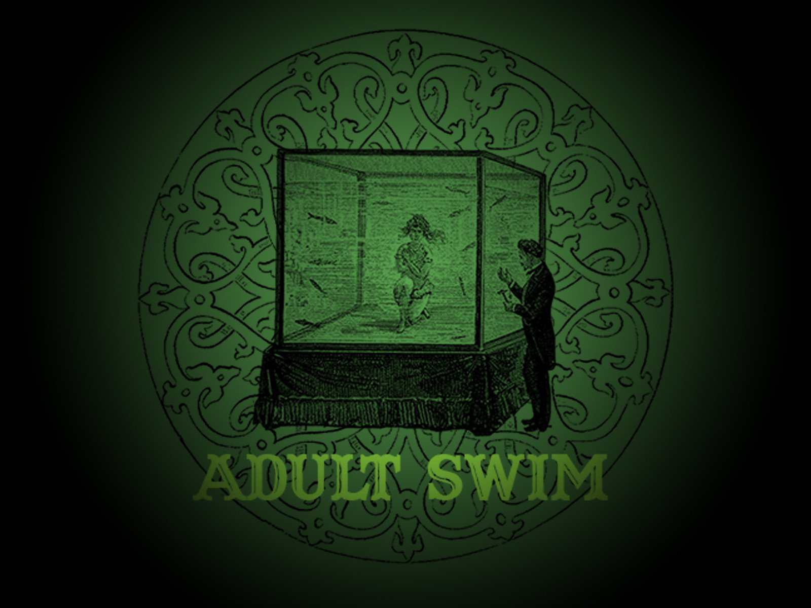 Adult Swim Wallpaper 4k - HD Wallpaper 