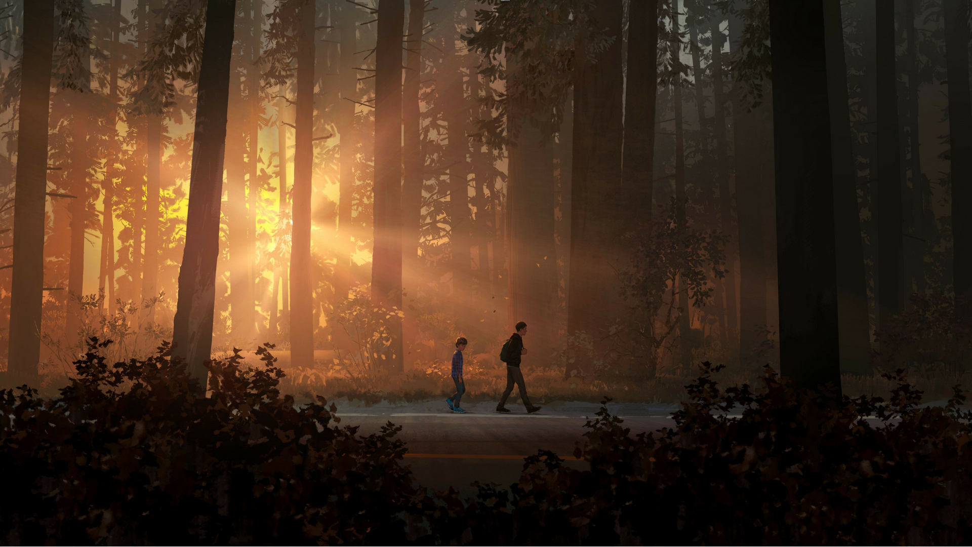 Life Is Strange 2 Poster - HD Wallpaper 