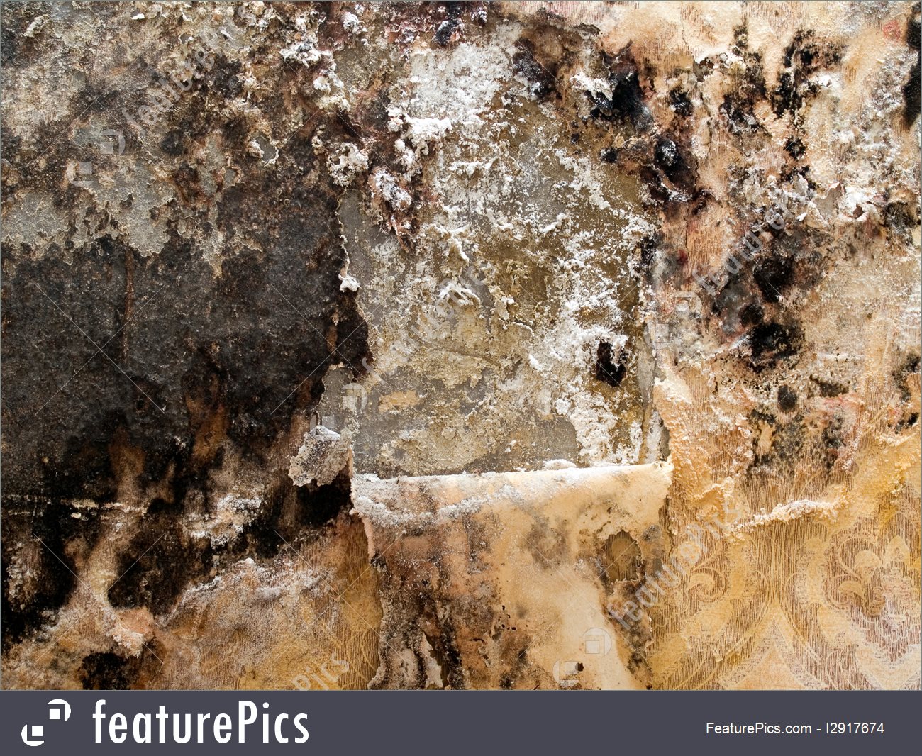 Grungy Wall With Shabby Wallpaper Closeup Background - Wallpaper - HD Wallpaper 