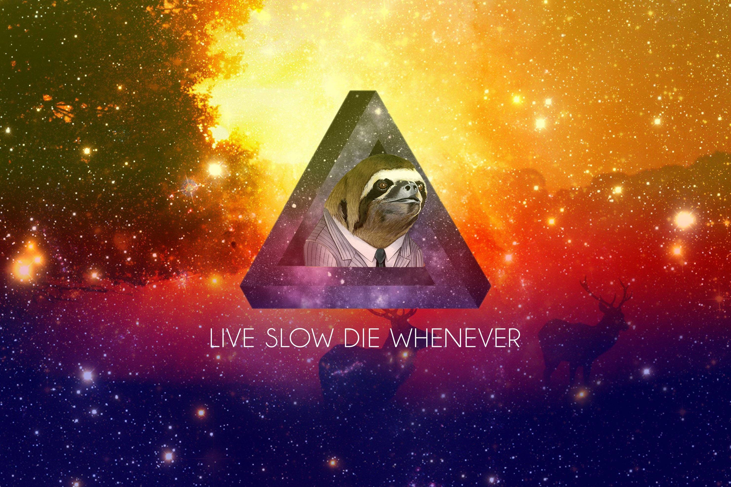 A Small Collection Of Sloth Wallpapers - Sloth Wallpaper 4k - HD Wallpaper 