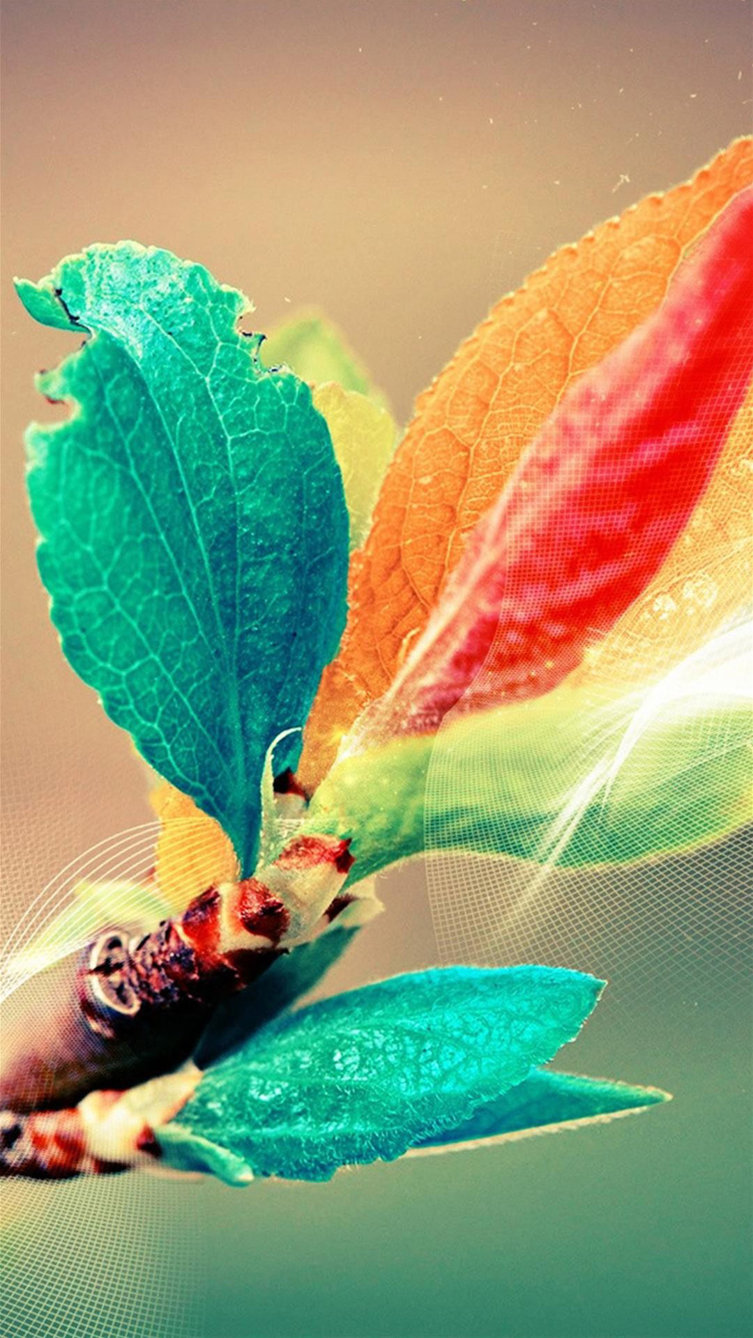 Beautiful Wallpaper For Whatsapp - 1080x1920 Wallpaper Beautiful Wallpaper For Whatsapp - 1080x1920 Wallpaper