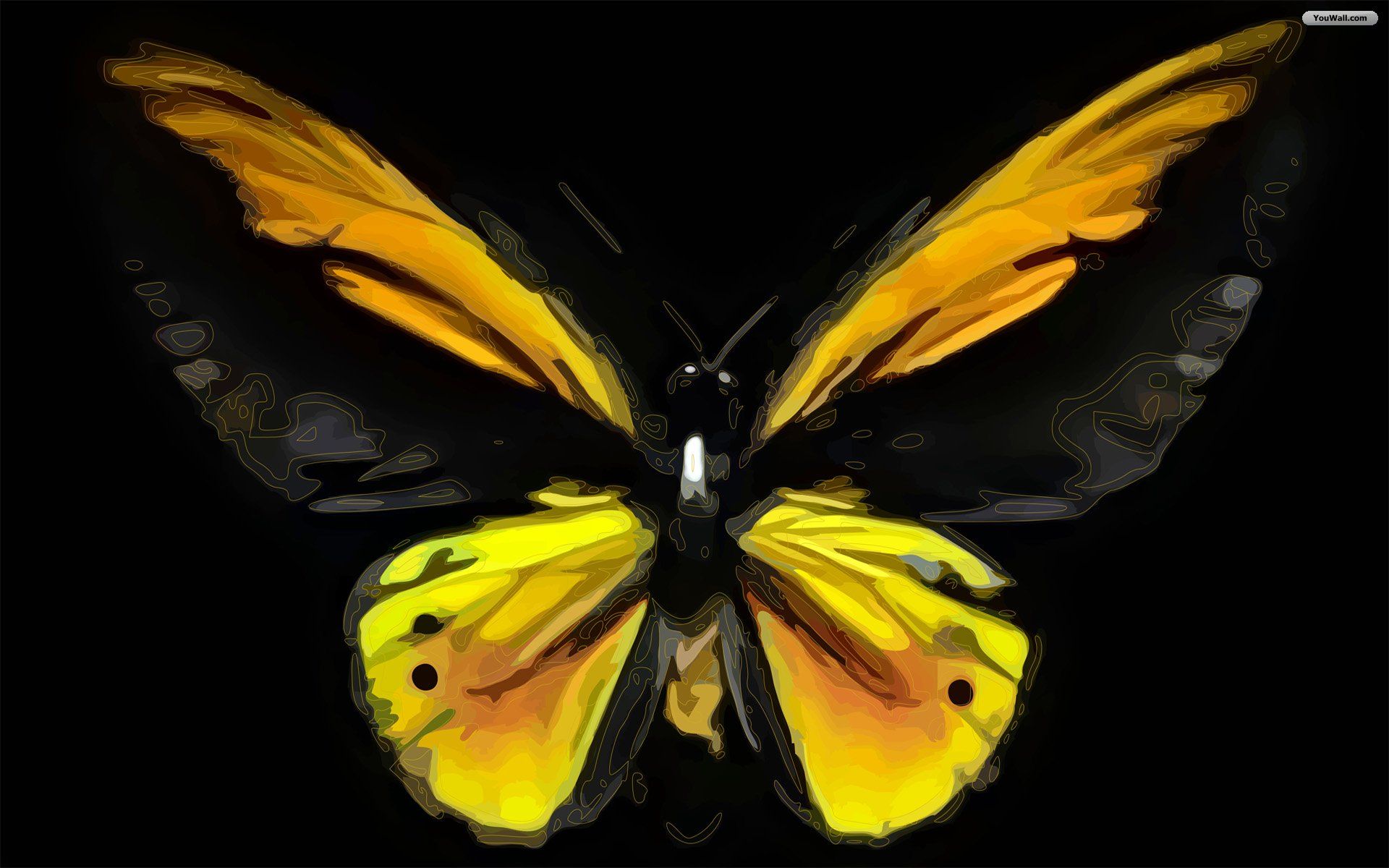 New Wallpaper Hd Of Yellow Butterfly - HD Wallpaper 