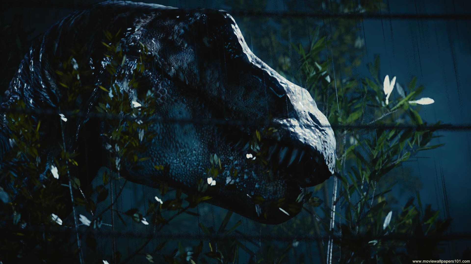 Jurassic Park 1 T Rex Breakout - HD Wallpaper 
