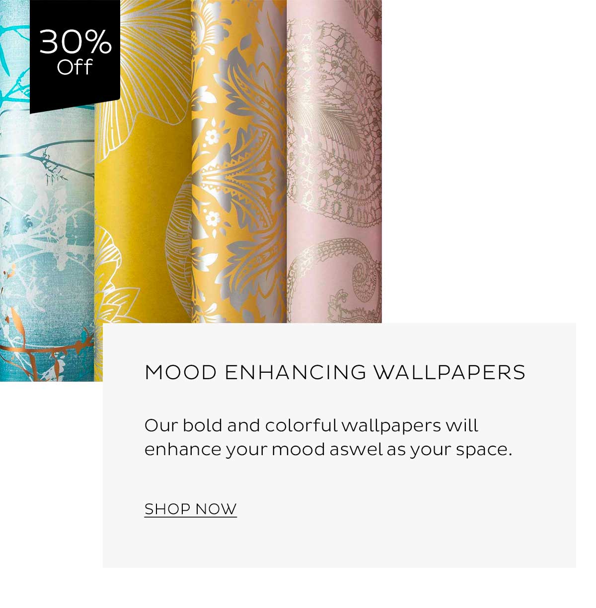 Brochure - HD Wallpaper 