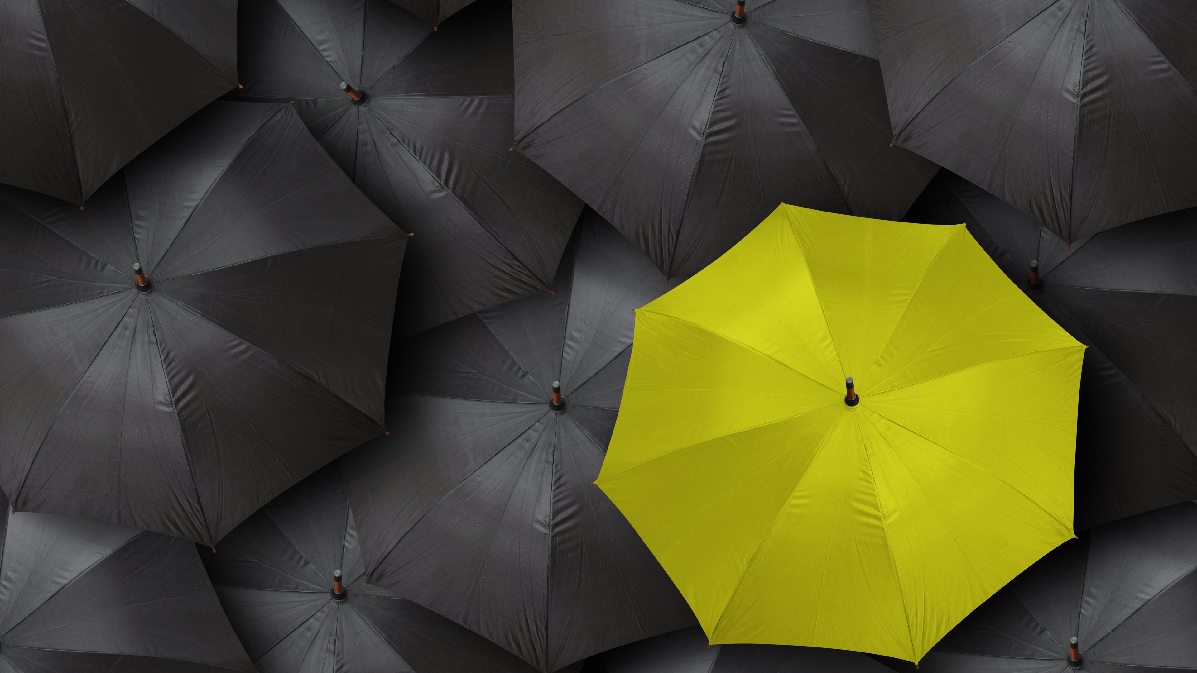 Wallpaper Black Umbrella, One Yellow - Umbrella - HD Wallpaper 