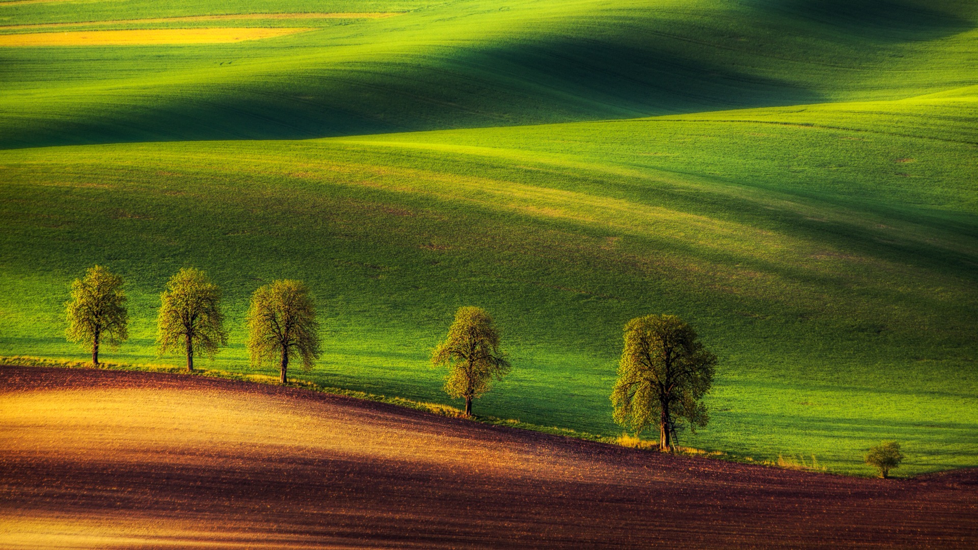 Windows 10 Preview Wallpapers Pack - Green Ground Wallpaper Hd - HD Wallpaper 