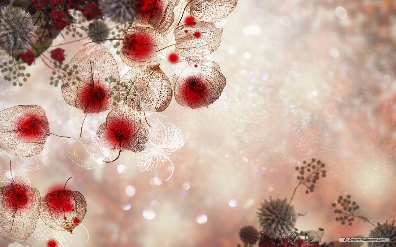 Free Nature Wallpaper - Free Winter Wallpaper For Desktop Background - HD Wallpaper 