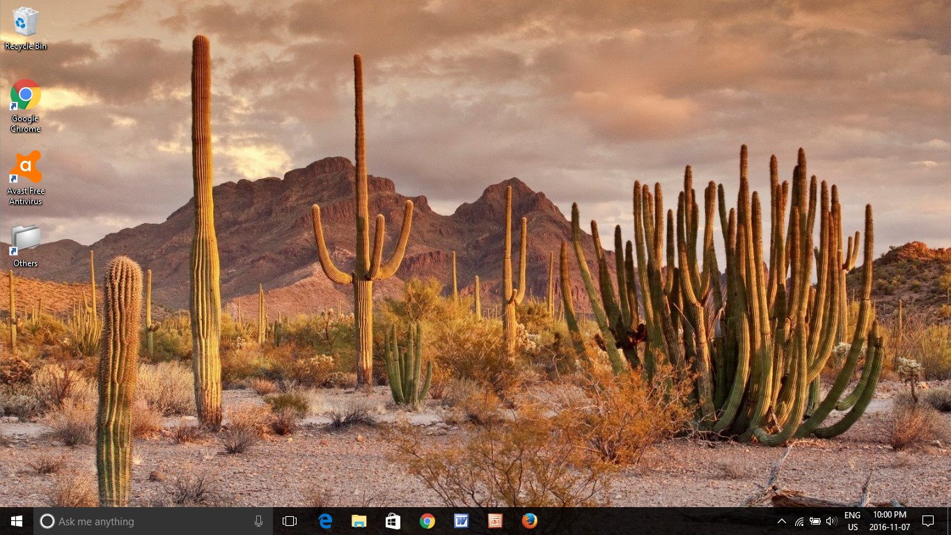 Desert Ecosystem - HD Wallpaper 