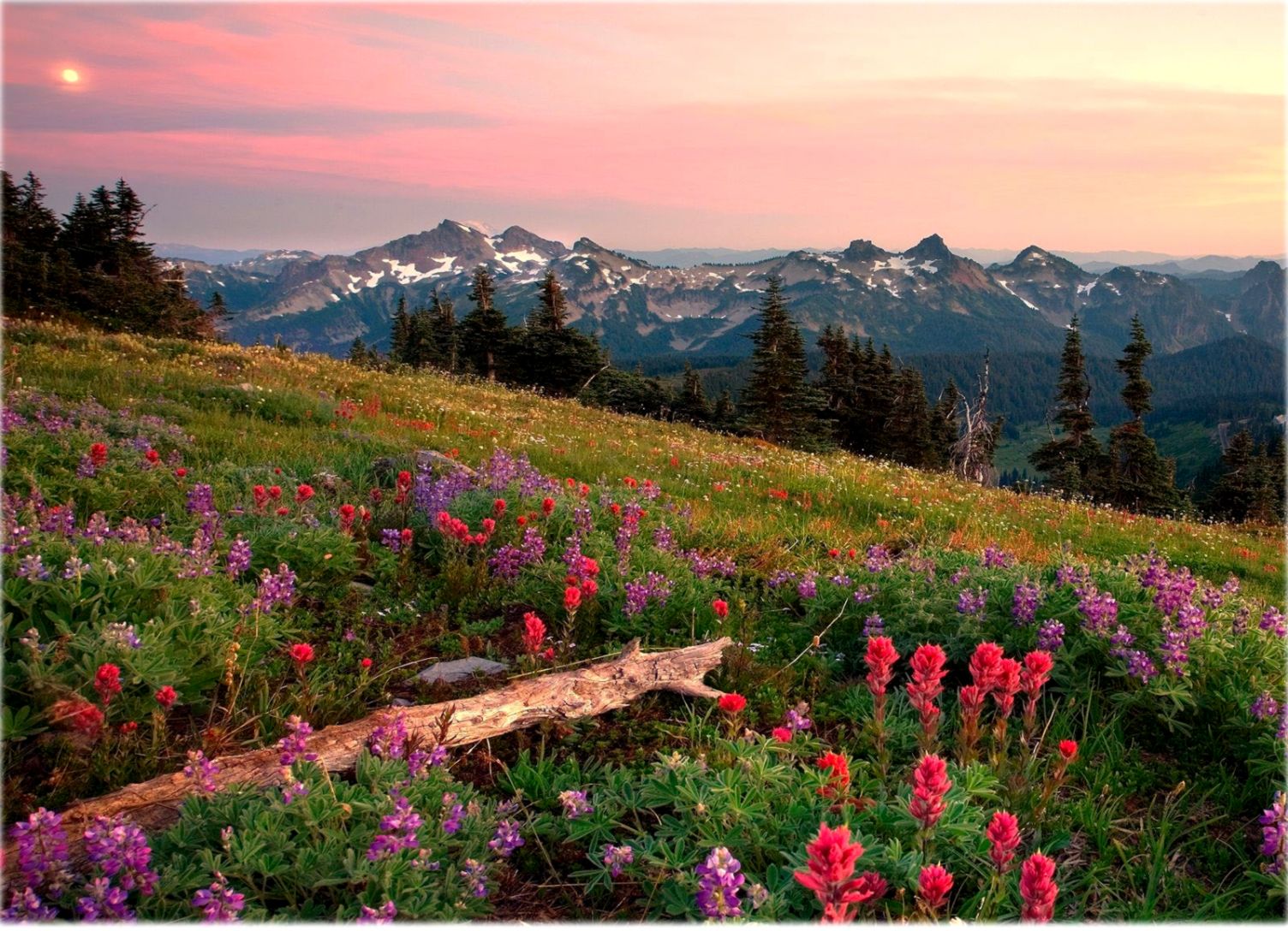 Scenery & Spring Pictures Scenery Pictures Slideshow - Mount Rainier - HD Wallpaper 