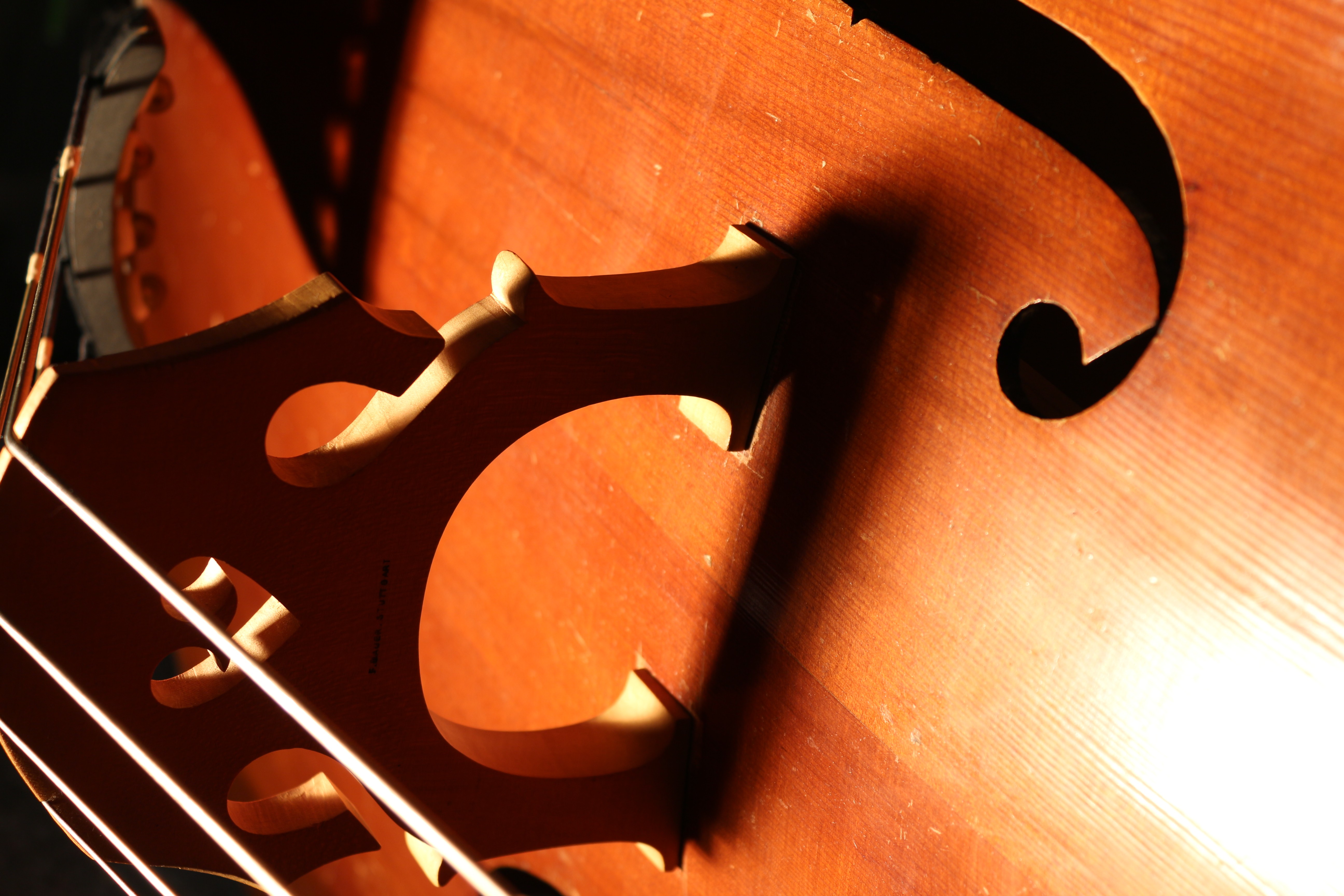 Wallpaper - Double Bass Wallpaper 4k - HD Wallpaper 