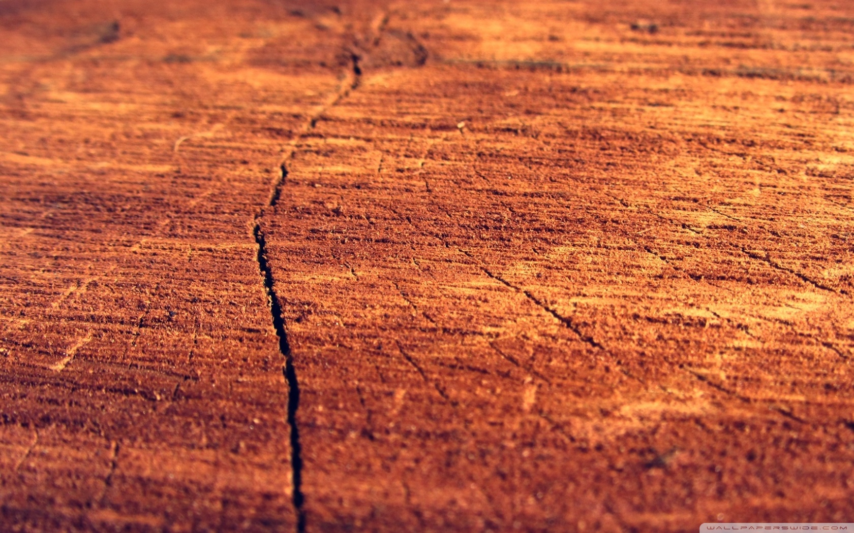 Exotic Wood - HD Wallpaper 