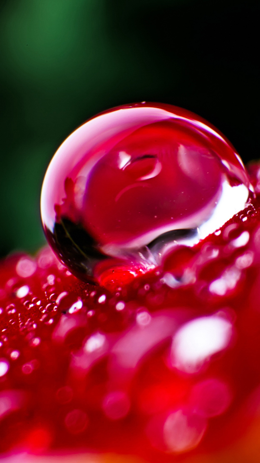 Hd Wallpaper Water Drop In Nature - HD Wallpaper 