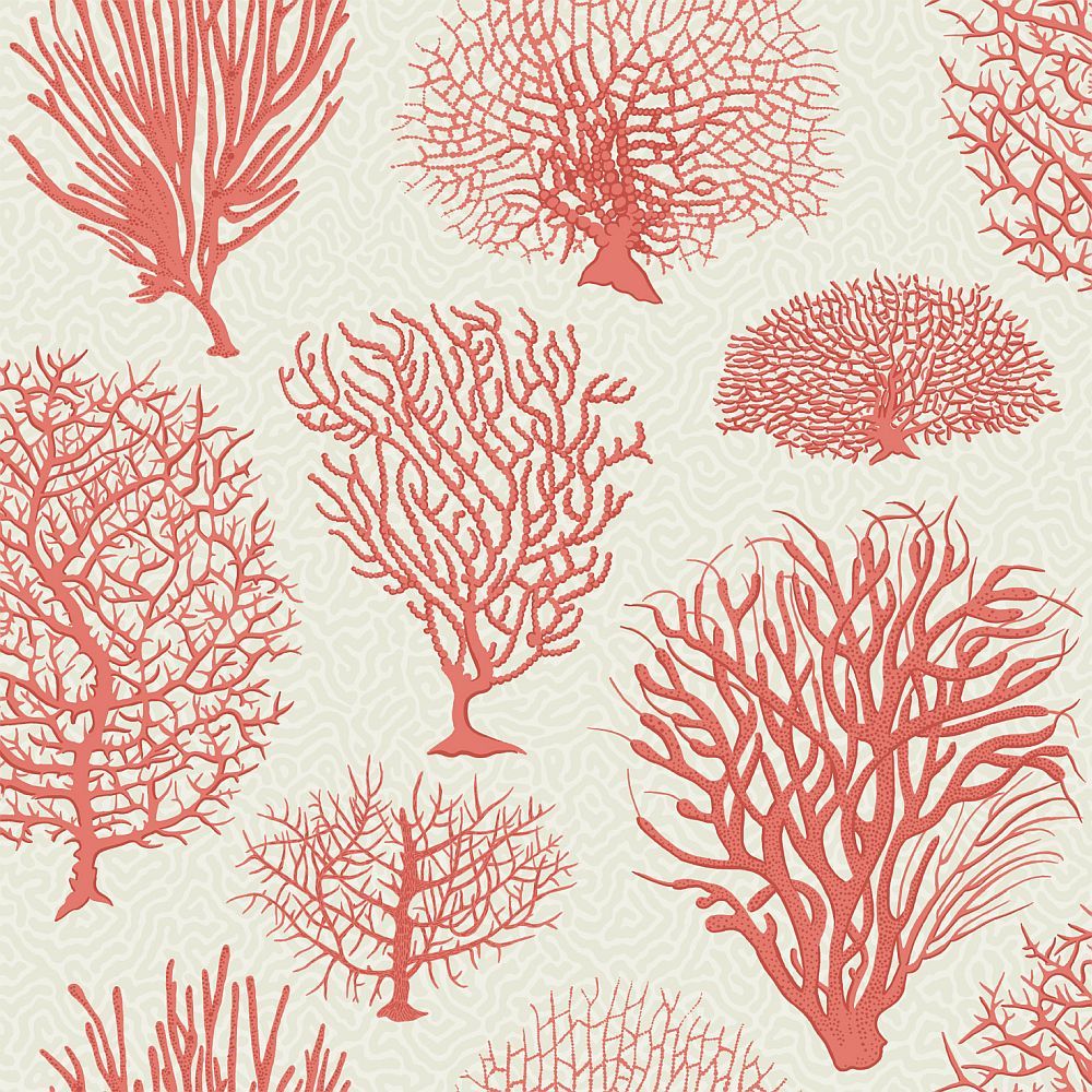 Cole & Son Curio - HD Wallpaper 