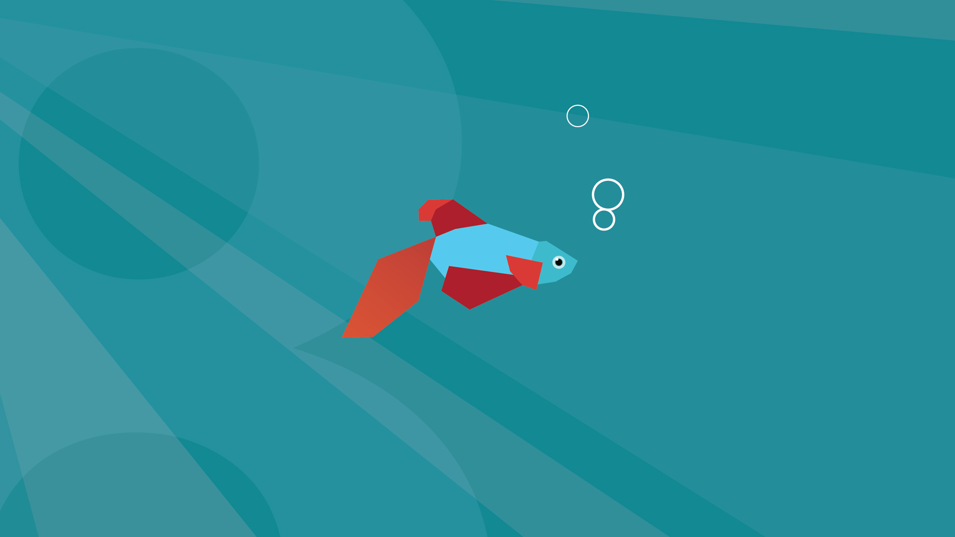 Windows 8 Beta Fish - HD Wallpaper 