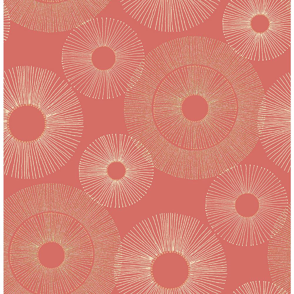 Coral Pink - HD Wallpaper 