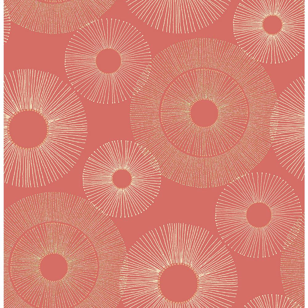 Coral Pink 1000x1000 Wallpaper teahub.io