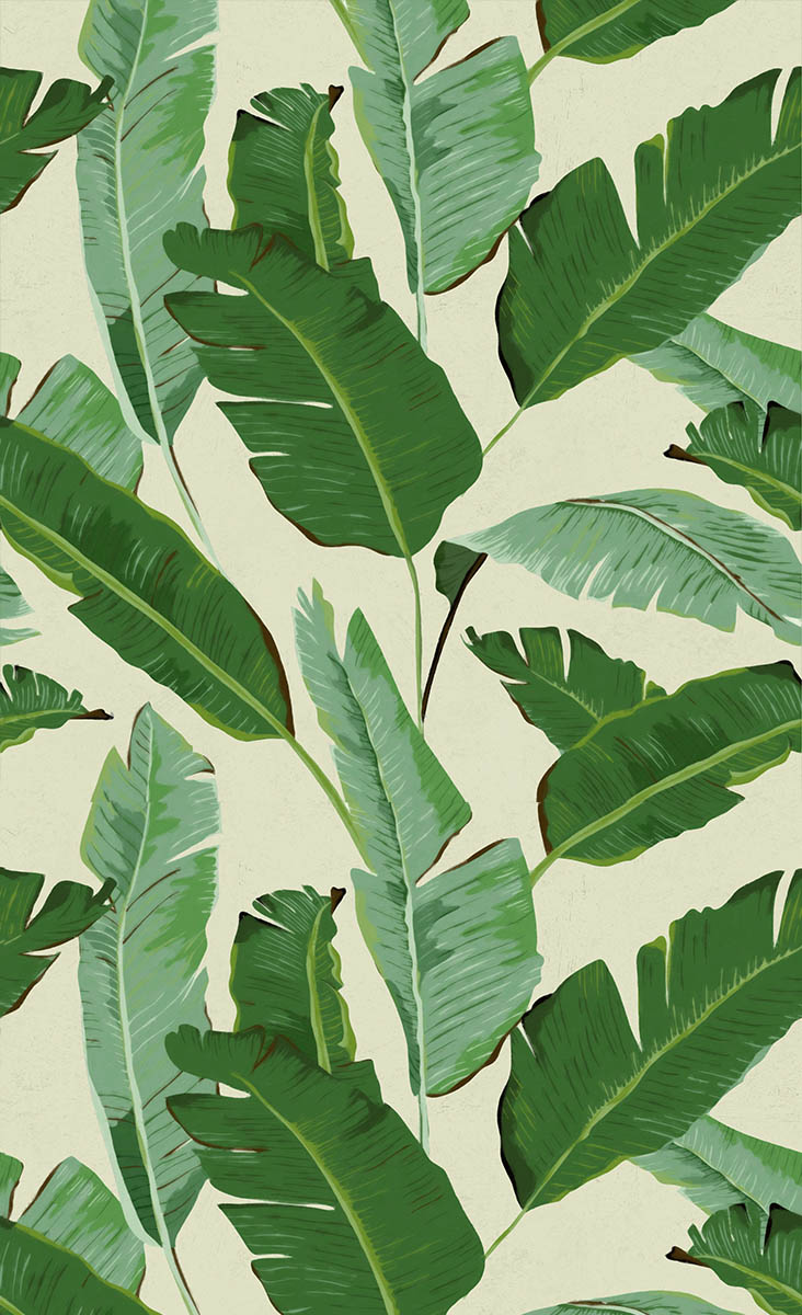 Banana Leaves Wallpaper Mindthegap Green/beige Wp20111 - Mind The Gap Banana Leaves - HD Wallpaper 