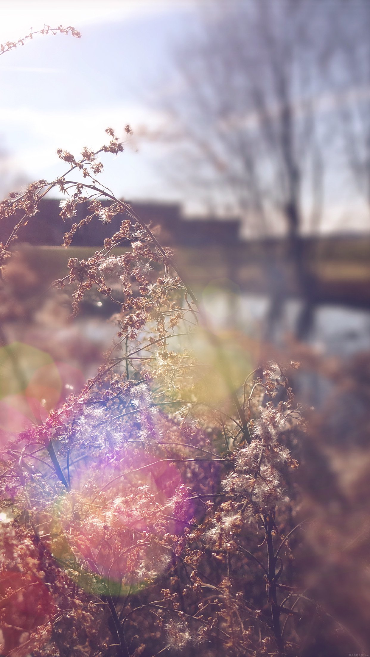 Sad Day Flower Nature Flare Android Wallpaper - Sad Android Wallpaper Hd - HD Wallpaper 