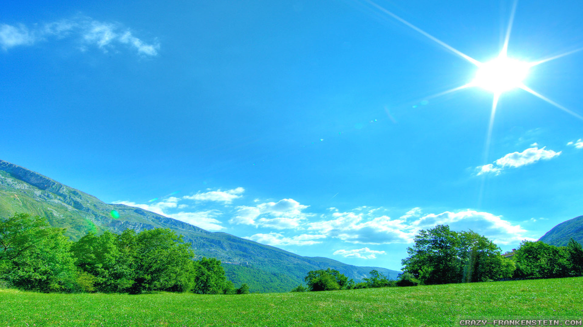 Natural Backgrounds Group - Banana And Tomato Ketchup - HD Wallpaper 