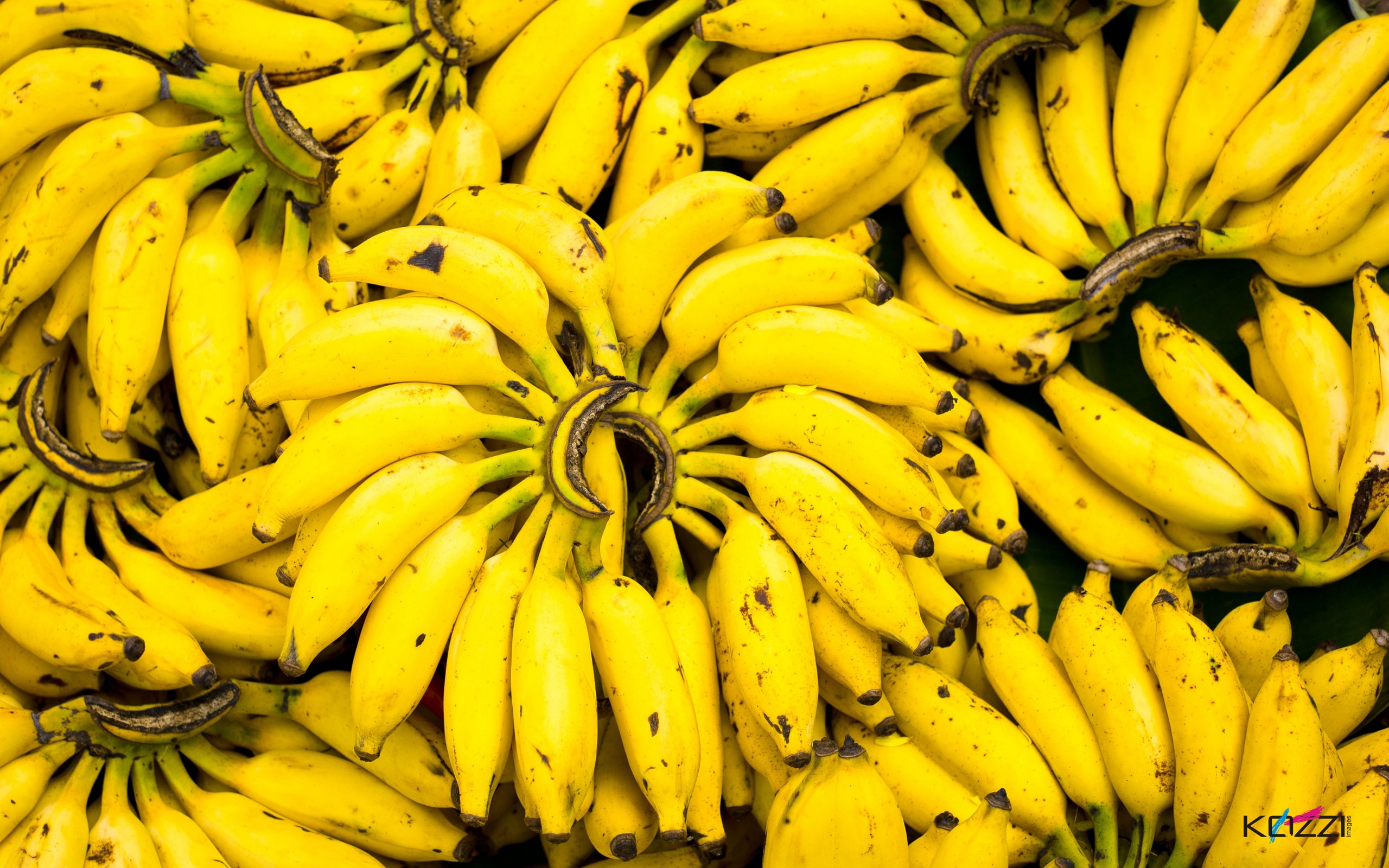 Banana Hd Wallpapers - Bananas Hd - HD Wallpaper 