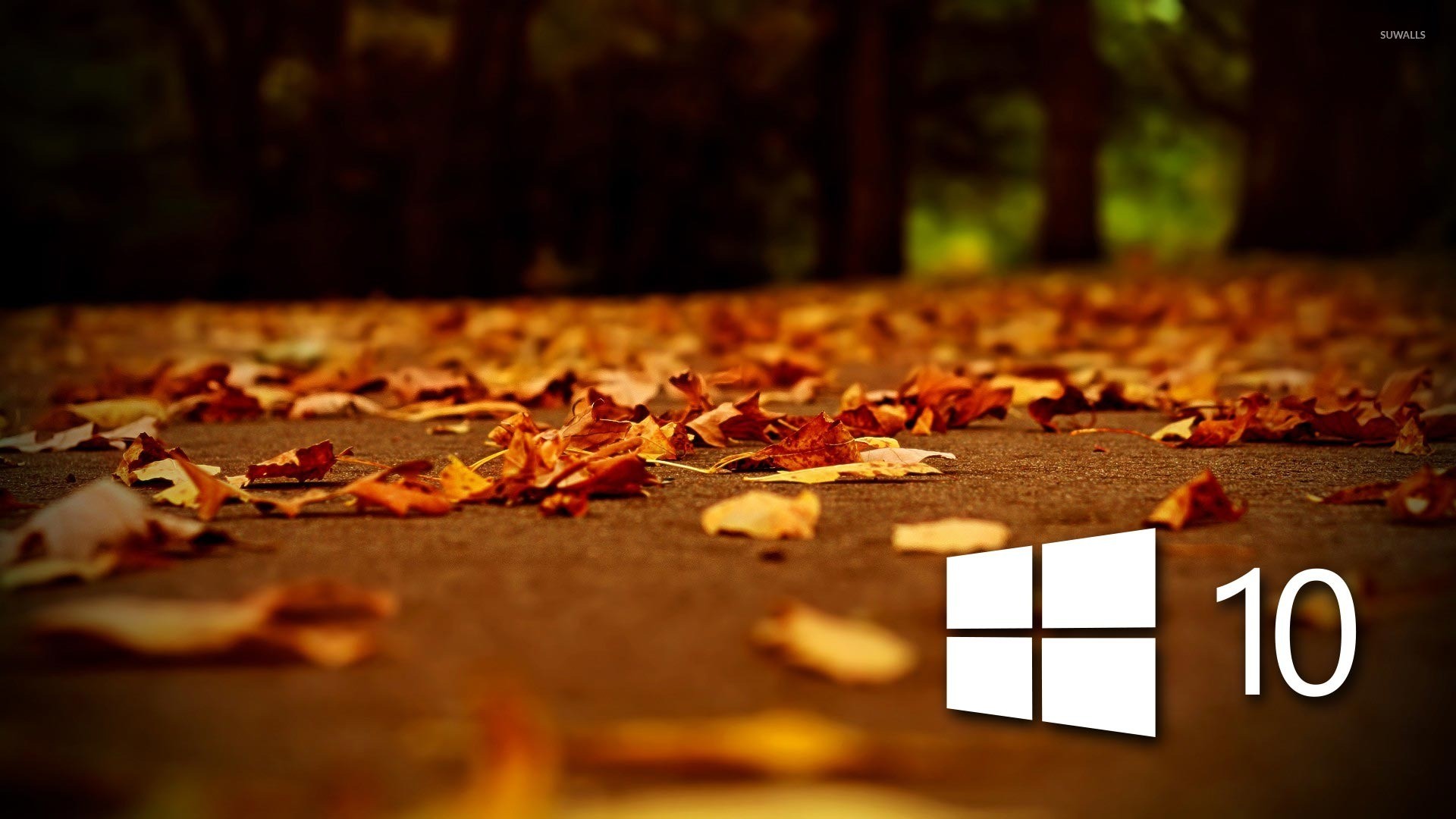 3847609 Best Hd Wallpapers For Windows 10 By Data - New Windows10 Wallpaper Hd - 1920x1080 Wallpaper 3847609 Best Hd Wallpapers For Windows 10 By Data - New Windows10 Wallpaper Hd - 1920x1080 Wallpaper