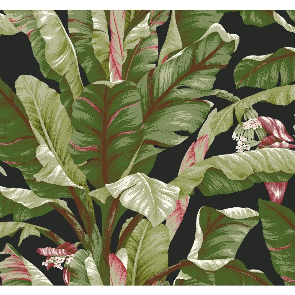 York Wallcoverings Tropics Banana Leaf Removable Wallpaper, - Ashford Tropics - HD Wallpaper 