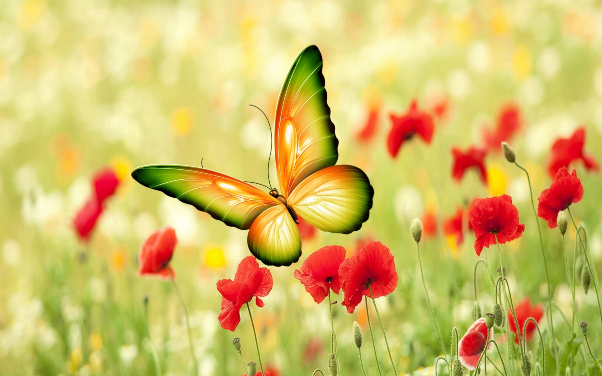 Defender Butterfly - Butterfly Wallpaper Full Hd - HD Wallpaper 