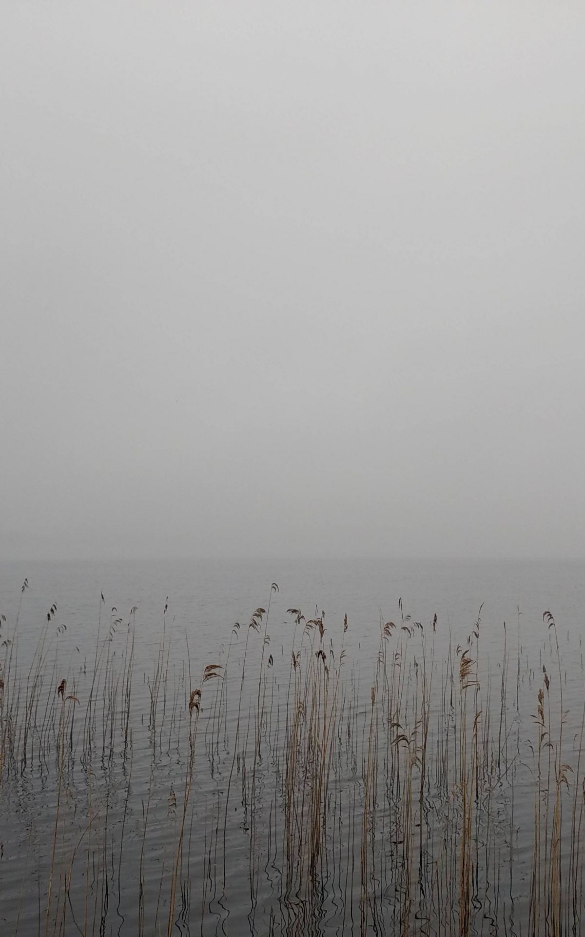 Lough Macnean Ireland - HD Wallpaper 