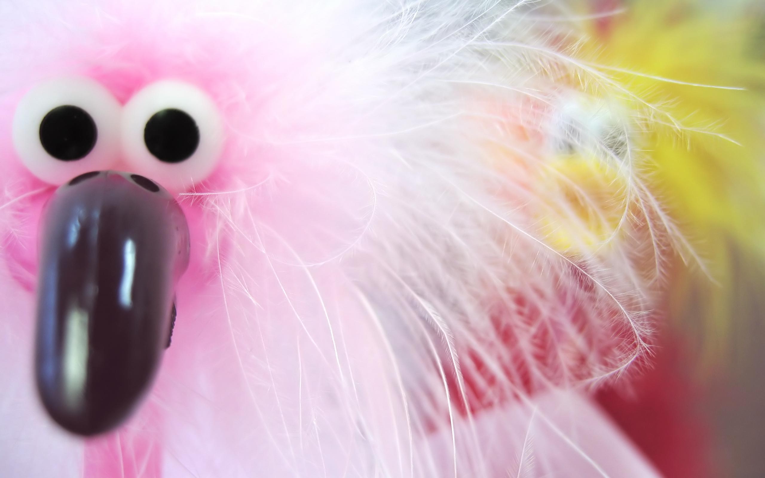 Funny Facebook Cover Photos Pink - HD Wallpaper 