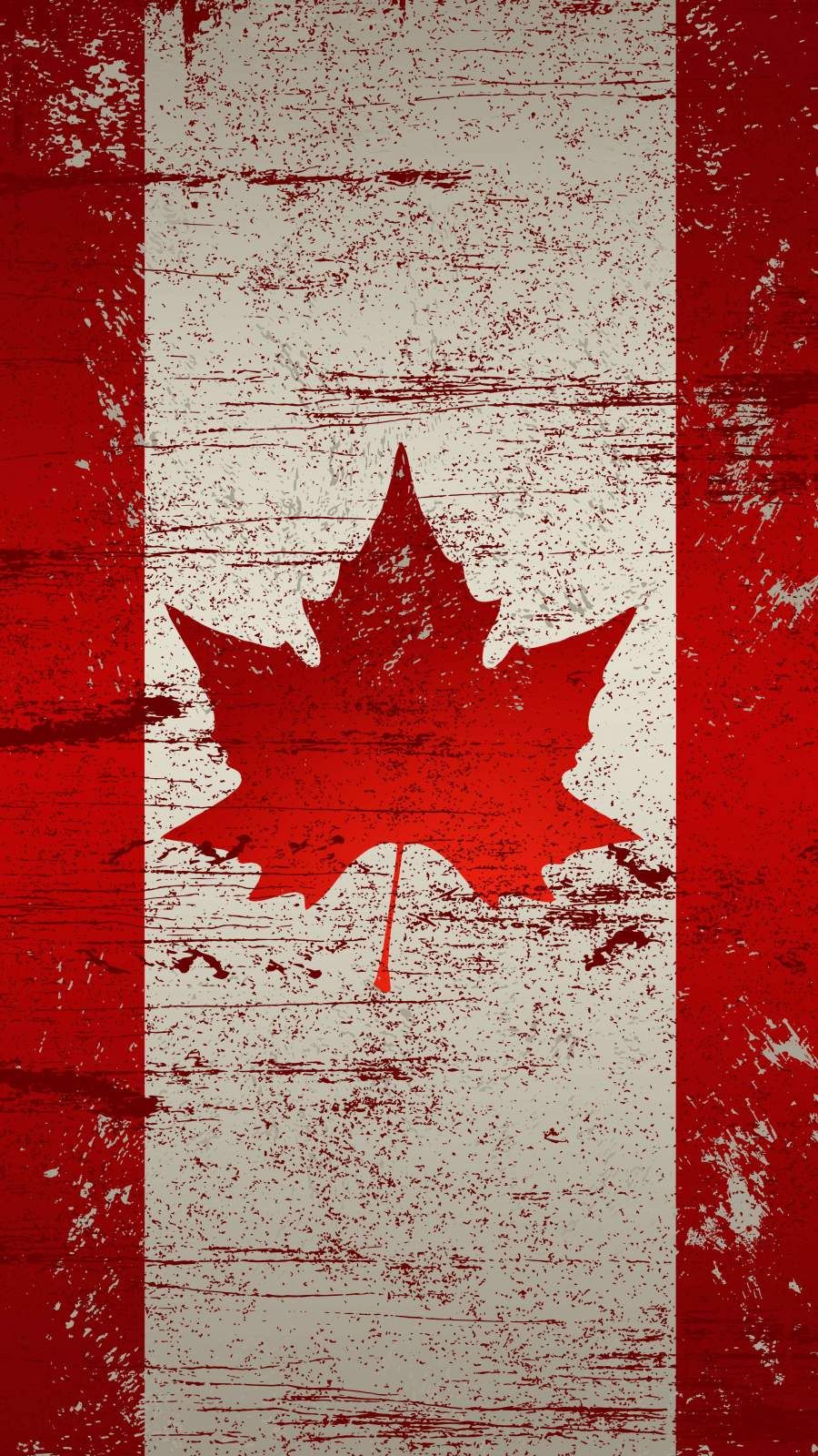 Maple Leaf - HD Wallpaper 
