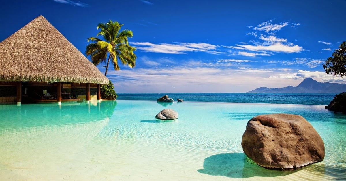 Zarnab Name Meaning In Urdu - HD Wallpaper 